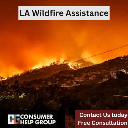 LA Wildfire Assistance